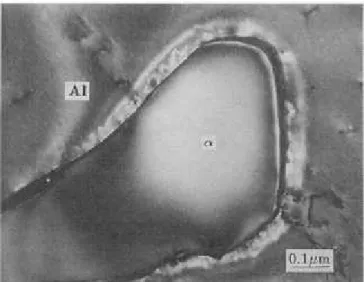 Figure 2.15. Silicon-rich layer surrounding -A1FeSi phase in the presence of strontium [152].