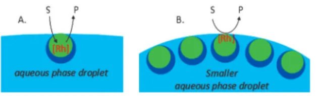 Figure 10. Alternative interpretations of the efficient catalytic biphasic hy- hy-droformylation in the presence of CCM: mass transport to the CCM core as in micellar catalysis (A) and increased surface area by surfactant effect for  in-terfacial catalysis