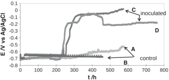 Fig. 1 describes the OCP behaviour of low carbon steel submerged in ASW supplemented with acetate and fumarate in 4 different  experi-ments running in parallel: two control systems (curves A and B) and two systems with microorganisms (curves C and D)