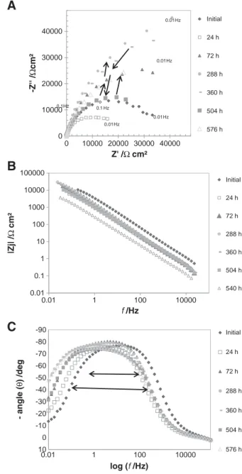 Fig. 6 shows the impedance response for carbon steel exposed to the microorganisms present in the pigging debris in ASW medium and its evolution with time