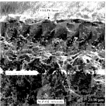 Figure 3.21 Comparison of YSZ electrolyte layer deposited by CI-LPS process to APS- APS-deposited YSZ layer [Heberlein, 2000] 