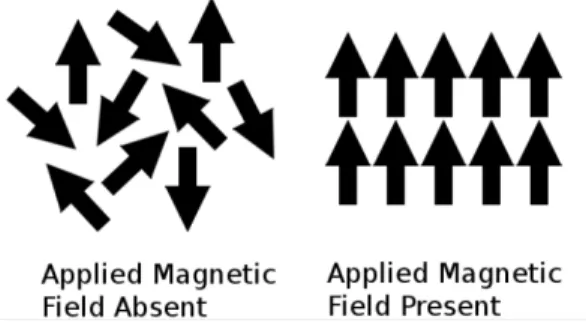 Figure 2.4. Schéma montrant les moments magnétiques d’un matériau paramagnétique en l’absence (droite) et en  présence (gauche) d’un champ magnétique externe (Crédit: ACGrain, contributeur à English Wikipedia
