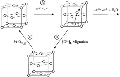 Figure 2.5. Réduction du butène par un mécanisme de Mars-van Krevelen [19] (Figure reproduite avec  l’autorisation de l’éditeur) 