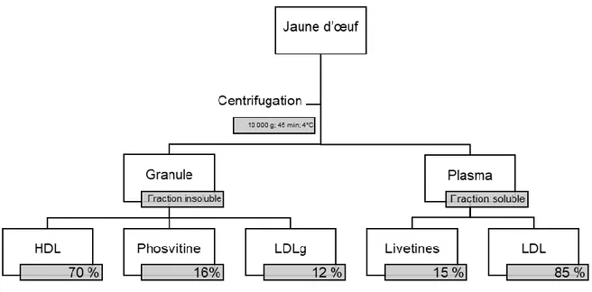 Figure 1. Composition des fractions granule et plasma du jaune d'œuf (Mc Cully et al.,  1962; Anton et Gandemer, 1997)