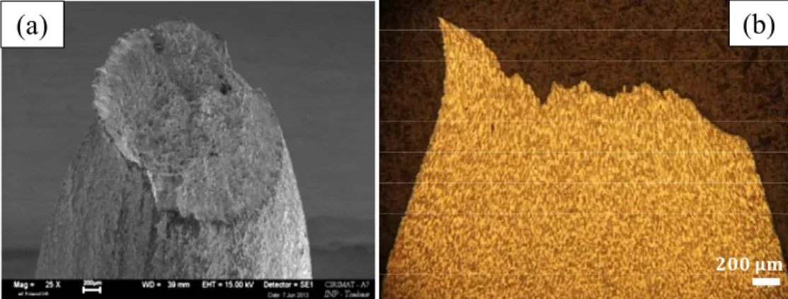 Fig. 5. SEM and optical microscope micrograph at 450°C under 450 MPa,   the rupture time is t R  = 135 h