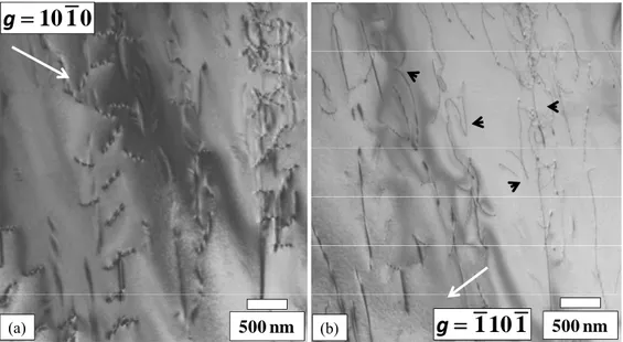 Fig. 9. TEM micrographs for two diffraction vectors after 0.86% creep deformation at 600°C  under 200 MPa 