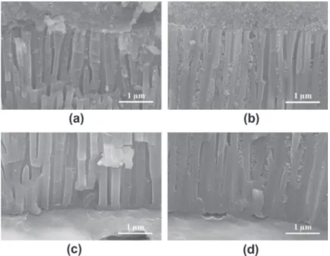 Fig. 3. Impregnation depth versus suspension conductivity (200 V cm ÿ1 , 5 min).