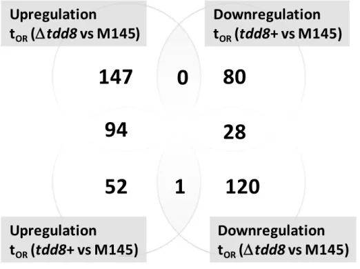FIG. 2  Number of genes showing a differential expression in tdd8+ and tdd8  compared to the M145 strain at the visual onset of Red (t OR ) production