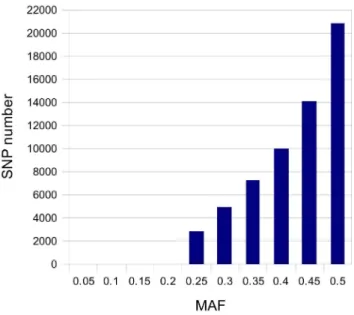 Figure 4. Distribution of estimated MAFs of the selected SNPs. The MAF for all the 60,000 selected SNPs was estimated based on the read counts for the two alleles.