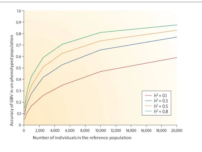 Figure 2.1: Accuracy of GBV of un-phenotyped individuals with increasing number of phenotype records in the reference population used to estimated SNP effects, for different heritabilities (h 2 )
