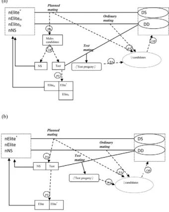 Figure 1. Population structure and selection steps of the studied breeding  schemes. Full lines indicate mating paths and dotted arrows indicate selection  based on parent averages (PA), own performance (OP), and progeny testing  (PT)