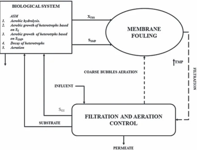 Fig. 1 – Conceptual scheme of the integrated model proposed by Zarragoitia et al. (2008).