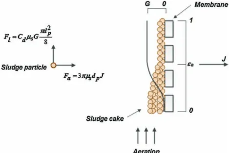Fig. 2 – Modelling the membrane fouling process.