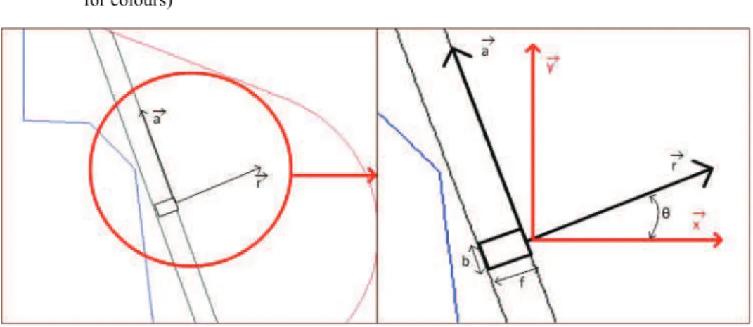 Figure 7  Axial and radial vector of each discretized section of a tooth (see online version   for colours) 