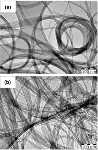 Fig. 4 – TEM picture of DWNTs (a) treated at 500 °C in air (30 min); (b) after additional treatment with HNO 3 3 M solution for 24 h at 130 °C.