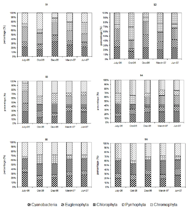 Figure 4: Seasonal variations with relative density of dominant phytoplankton groups in different stations 