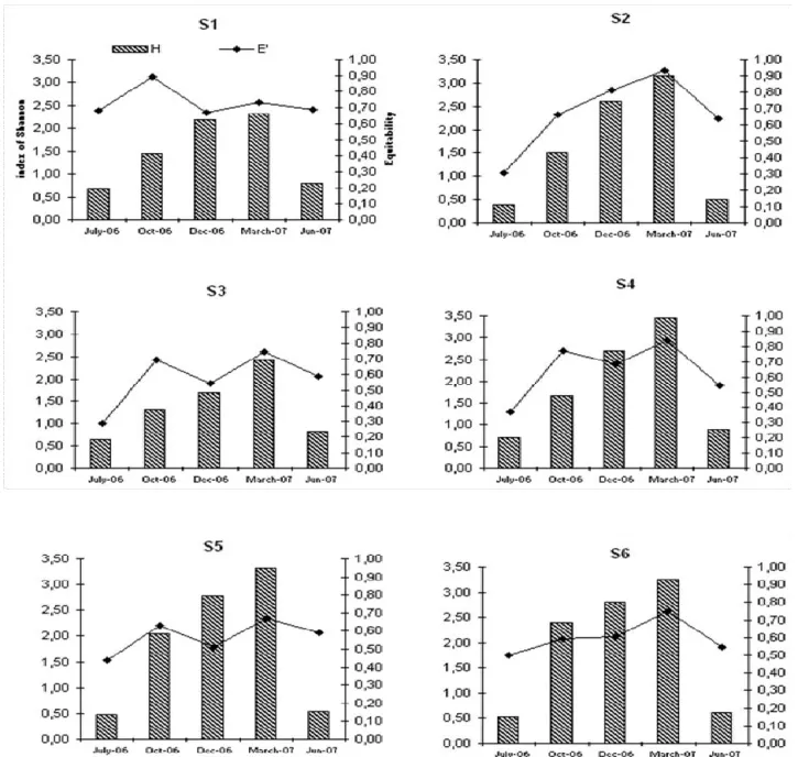 Figure 5. Average diversity index of Shannon (H) and equitability (E) at sites S1, S2, S3, S4, S5 and S6 