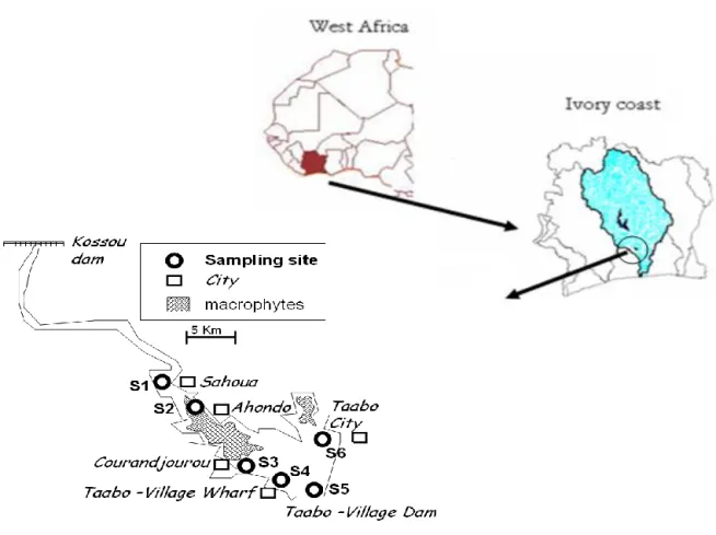 Figure 1. Location of the sampling stations of Taabo reservoir (S1, S2, S3, S4, S5, S6)