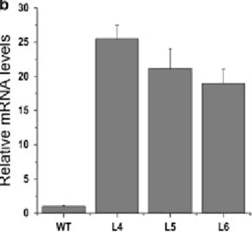 Fig. 1 qRT-PCR analysis of mRNA expression levels of the LeERF1 and LeERF2 genes in WT and transgenic tomato