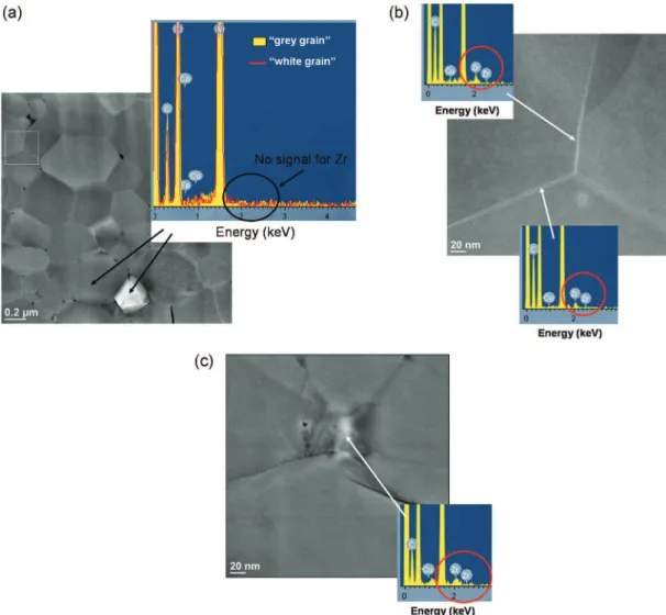 Fig. 4. HAADF observations and EDX measurements of AZ570 sample sintered at T f = 1300 ◦ C (a) global view, (b) zoom of the grain boundaries, and (c) secondary phase particle observation
