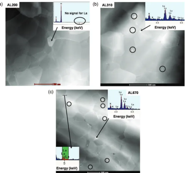 Fig. 10. HAADF observations and EDX spectroscopy of (a) AL200, (b) AL310, and (c) AL670 samples