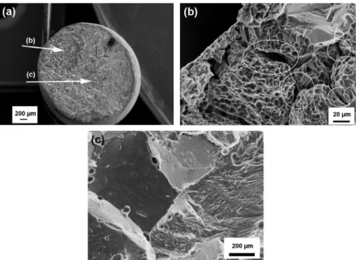 Fig. 15. SEM images of fatigue fracture surfaces after the pre-corrosion treatment of AA 6101 T9: (a) crack initiation on a pit and (b) transition between the intergranular propagation zone and the ductile ﬁnal rupture ( r = 89% of the ultimate tensile str