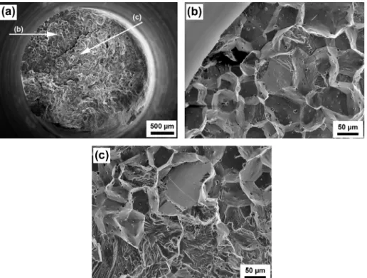 Fig. 19. SEM images of AA 6101 T4 after (a) a tensile test performed in air at 6.5  10 5 s 1 and (b) a tensile test performed in a 0.5 M NaCl solution at 6.5  10 5 s 1 .