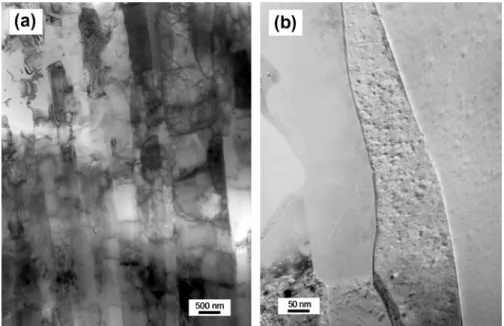 Fig. 4. Geometry of cylindrical fatigue samples of AA 6101 T4 and T4 + 185 °C–10 h.