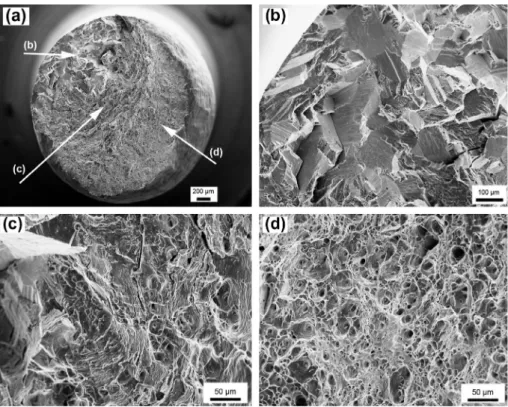 Fig. 8. SEM images of the fatigue fracture surfaces of AA 6101 T4: (a) global view, (b) slow crystallographic crack propagation, (c) transition between crystallographic propagation and ductile rupture, and (d) ﬁnal rupture (for r = 89% of the ultimate tens