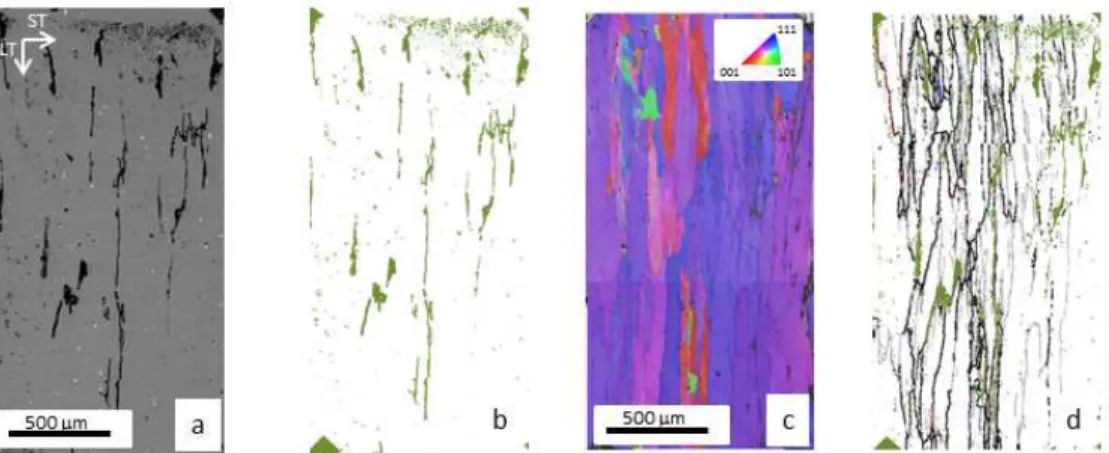 Figure 4. Analysis of a NHT sample after a CI test in a well-identified zone. a) SEM observation of  the corrosion defect, backscattered electron image b) ‘corrosion map’ c) IPF-z0 d) identification of  the interfaces (grain boundaries in black or in colou