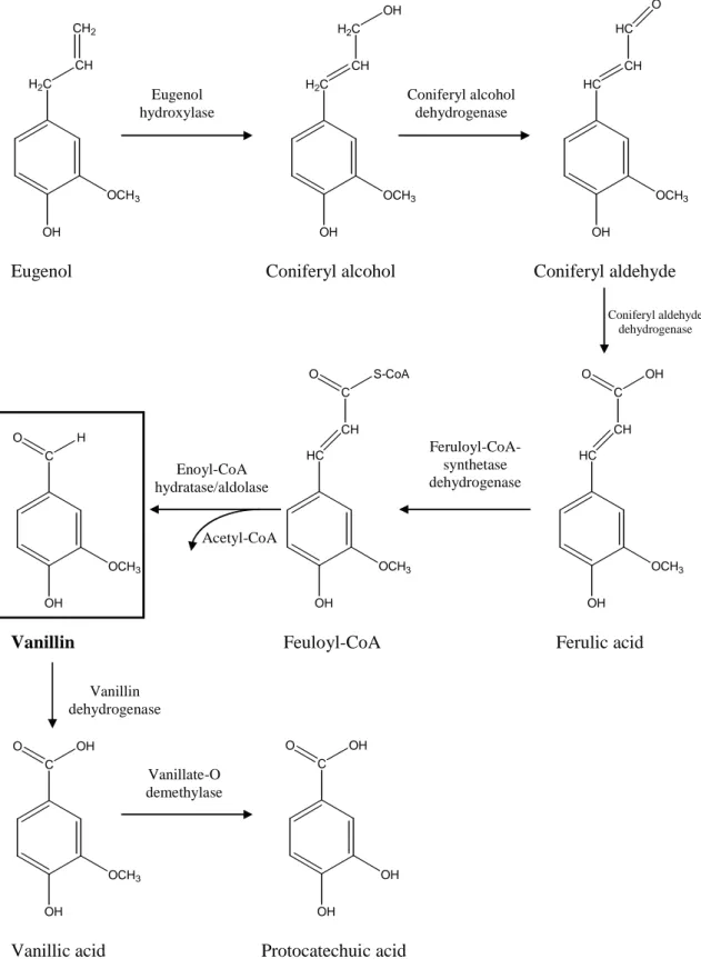 Fig. 1 Some reactions found in the biotechnological production of vanillin [3]