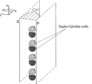 Figure 2.3: Roll cells instability in rotating duct flow. Light gray contours: u&gt; x  &gt; 0; dark gray: u&gt; x  &lt; 0.