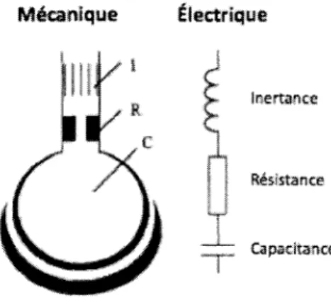 Figure 3 - Tiree de Schmidt, 1998. Analogie entre un circuit electrique simple et le modele parametrique a 1  compartiment R-I-C