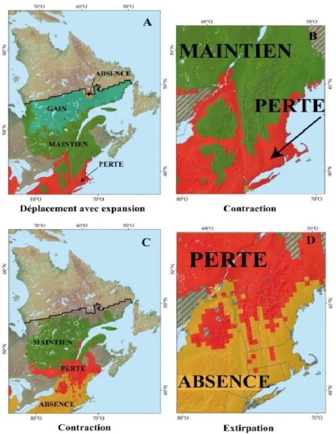 Figure 3 - Exemple de représentation des réponses de déplacement des niches de l’iris versicolore (A et  B) et l’épinette noire (C et D)