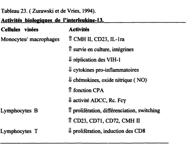 Tableau 23. ( Zurawski et de Vries, 1994).  Activités  biolo&amp;igues  de  l'interleukine-13