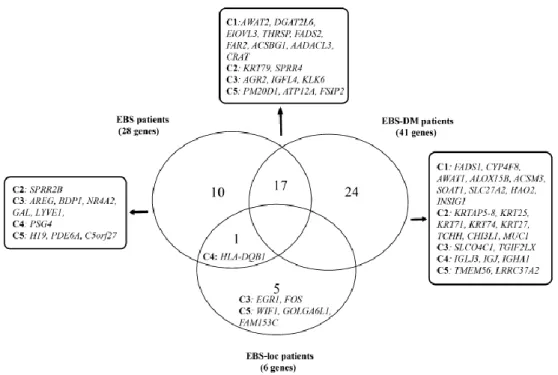 Figure 6. Gènes associés aux différents sous-types d’épidermolyse bulleuse simplex  dans l’étude québécoise 