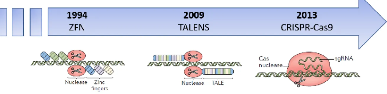 Figure 7. Évolution des technologies d’édition de l’ADN 