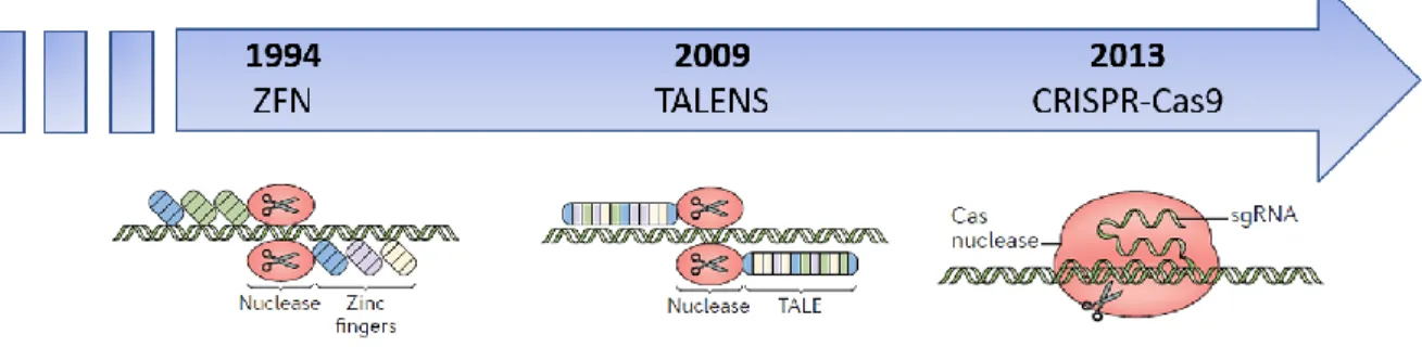 Figure 7. Évolution des technologies d’édition de l’ADN 
