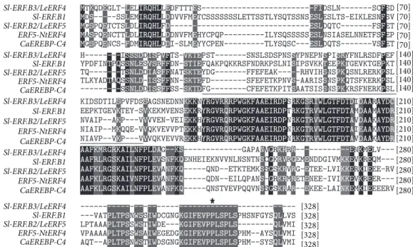 Figure 6: Multiple amino acid sequence alignment of tomato Sl-ERF.B.3 with related amino acid sequences of tomato Sl-ERF.B.1, tomato Sl- Sl-ERF.B.2, Capsicum annuum CaEREBP-C4 (AAX20037.1), and Nicotiana tabacum NtERF4/ERF5 (Q40478.1)