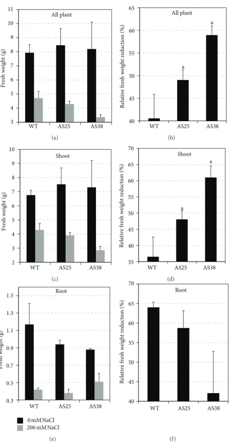 Figure 4: Salt stress effect on fresh biomass accumulation of Sl-ERF.B.3 antisense transgenic lines (AS25 and AS38) and wild type (WT) tomato plants