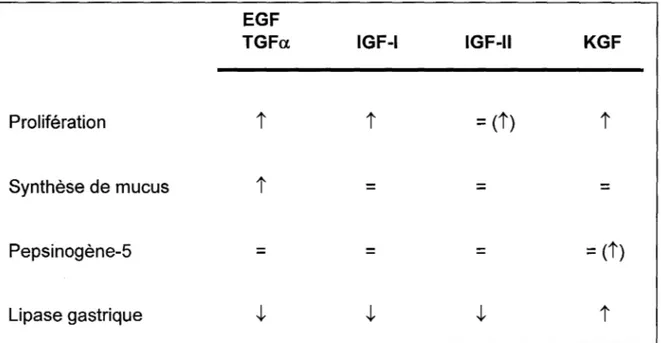 Table  2:  Tableau  résumant  les  effets  des  facteurs  de  croissance  sur  l'épithélium  gastrique  humain  (Tremblay  et  al.,  2001;  Chailler  et  al.,  2000;  Tremblay et al.,  1999; Tremblay et al.,  1997) 