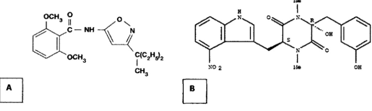 Figure 3. Structure chimique de deux inhibiteurs de la synthese de la cellulose (A)  L'isoxabene: iV-[3-(l-ethyl-l-methylpropyl)-5-isoxazolyl]-2,6-dimethoxybenzamide;  (B) thaxtomine A : 4-nitroindol-3-yl-contenant 2,5 dioxopiperazines 