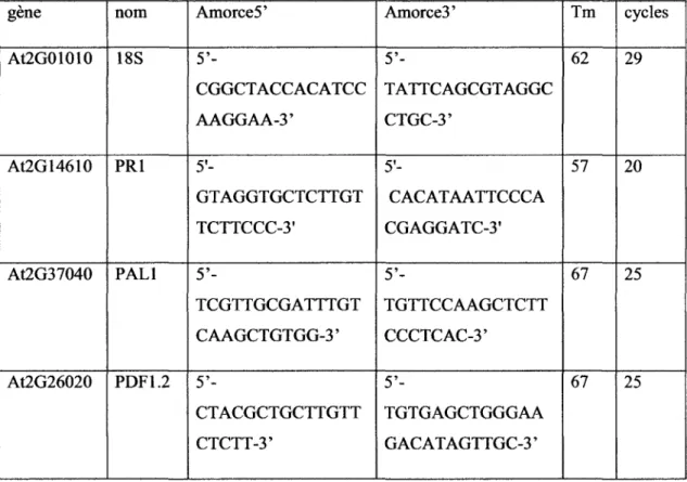 Tableau 1 : Sequences des amorces et conditions d'amplification utilisees  pour la RT-PCR  gene  At2G01010  At2G14610  At2G37040  At2G26020  nom 18S PR1  PALI  PDF 1.2  Amorce5'  5'-CGGCTACCACATCC AAGGAA-3' 5'-GTAGGTGCTCTTGT TCTTCCC-3' 5'-TCGTTGCGATTTGT CA