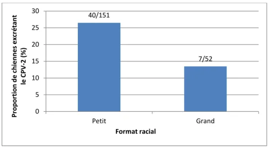 Figure 3 : Proportion de prélèvements positifs pour CPV-2 au cours de la gestation selon le format racial (chiennes de  petit format n=28 chiennes et n= 151 prélèvements, chiennes de grand format n= 9 chiennes et n=52 prélèvements) 