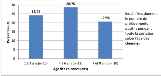 Figure 5 : Proportion de prélèvements positifs pour CPV-2 au cours de la gestation en fonction de l’âge des chiennes 