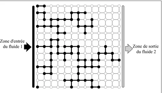 Figure 2.10. Représentation d'un réseau bidimensionnel carré de dimension 13x13 au seuil de  percolation, au cours d'un processus de percolation d'invasion