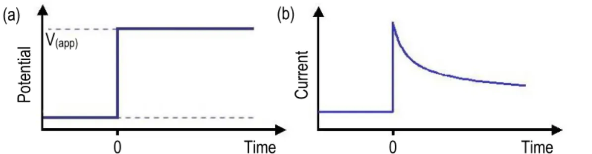 Figure 1.2 (a) Potential of the electrode versus time. At t = 0, a constant potential,  V (app) ,  is  applied  on  the  electrode  and  it  is  maintained  constant  during  measurement