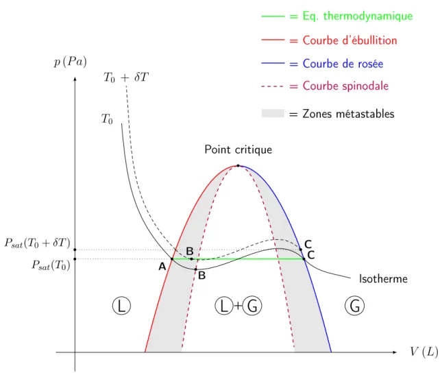 Figure I.2 – Diagramme de Clapeyron schématique de la région liquide-gaz d’un corps pur
