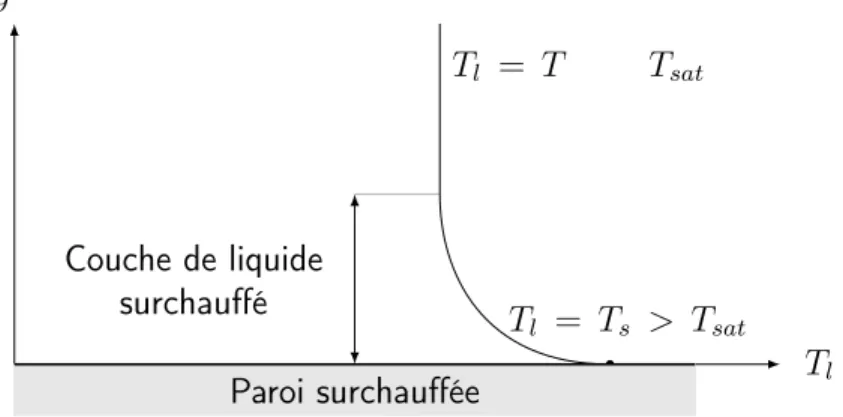 Figure I.3 – Profil de température d’un liquide (sous-)saturé aux abords d’une paroi surchauffée