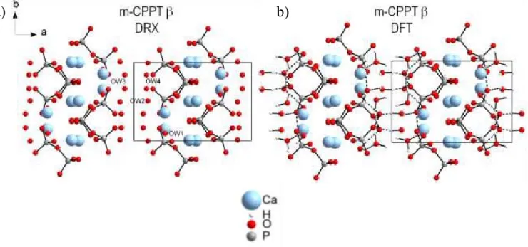 Figure     III-19 : Structure de la phase m-CPPT  suivant l’axe [001] avec représentation des molécules de pyrophosphate  a) d’après Balić-Žunić et al.[Balić-Žunić et al., 2000] et b) par modélisation DFT.